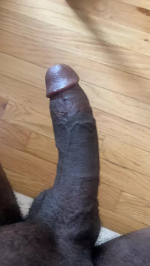 Cock out Ready to be Sucked