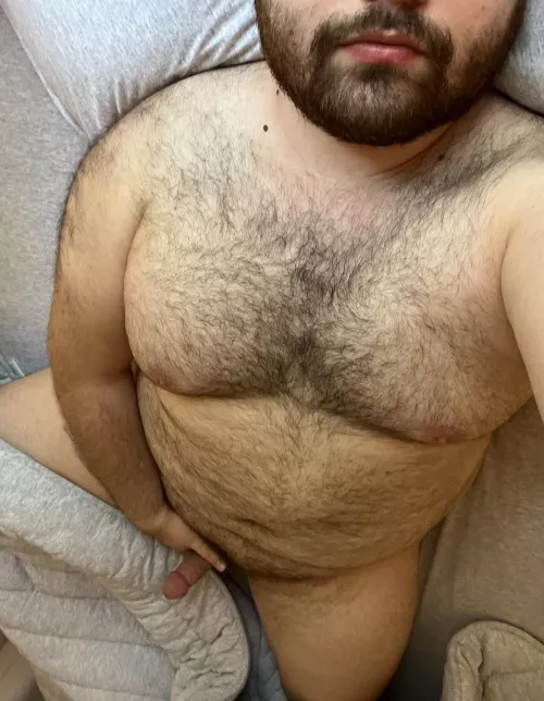 here I lay down again 🐾