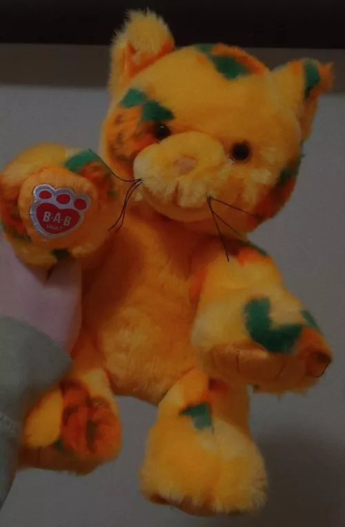 Mister took me to Build-A-Bear after work! 🎃🧡