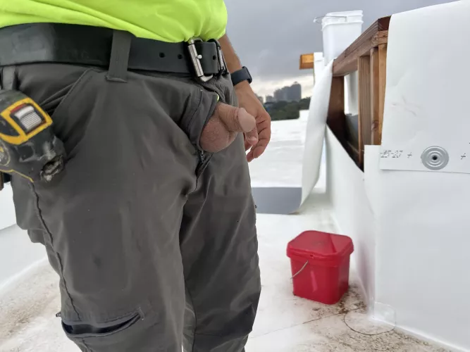 Nice view from the roof today