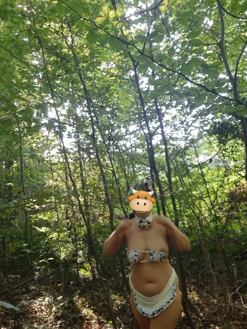 A wild hucow appeared..