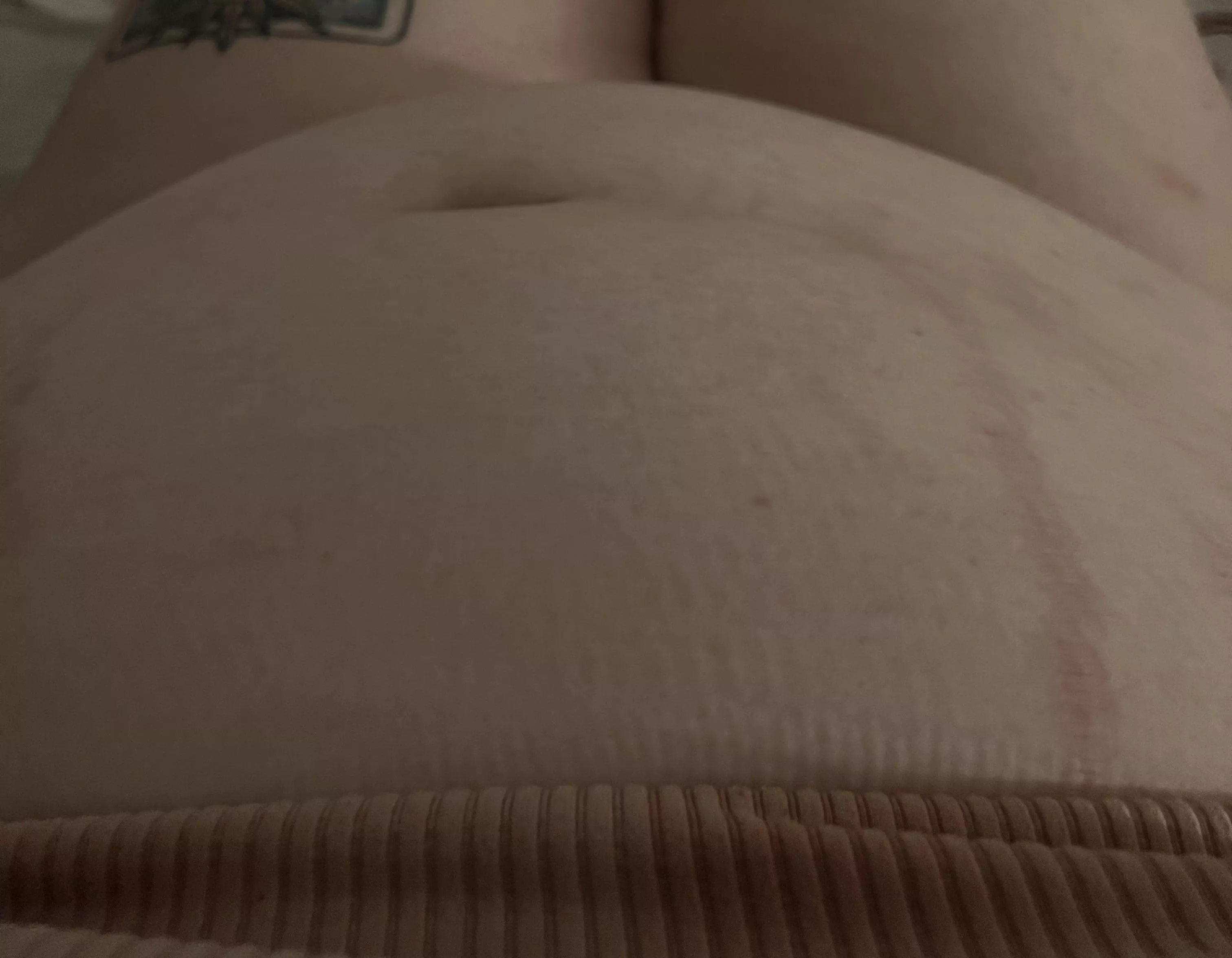 Another meal stuffed by my feeder