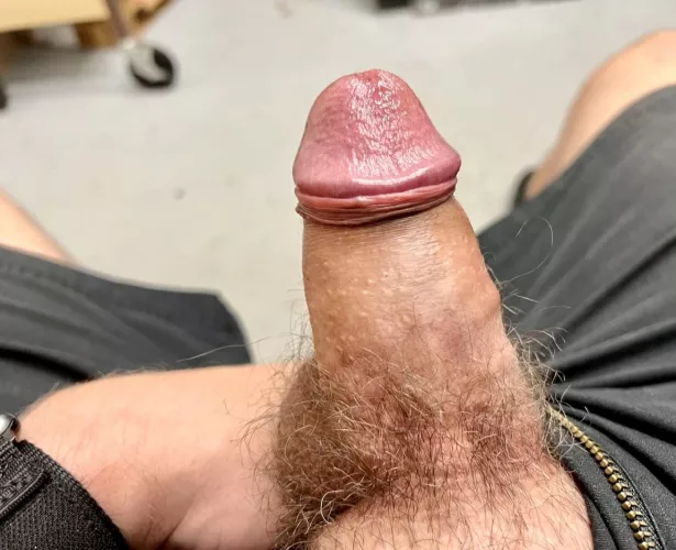 Any T girls wanna suck and fuck this cock?