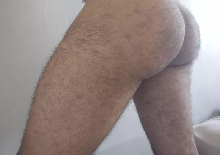 Anyone into a hairy ass?