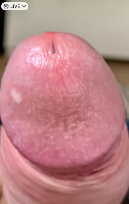 First bit of precum