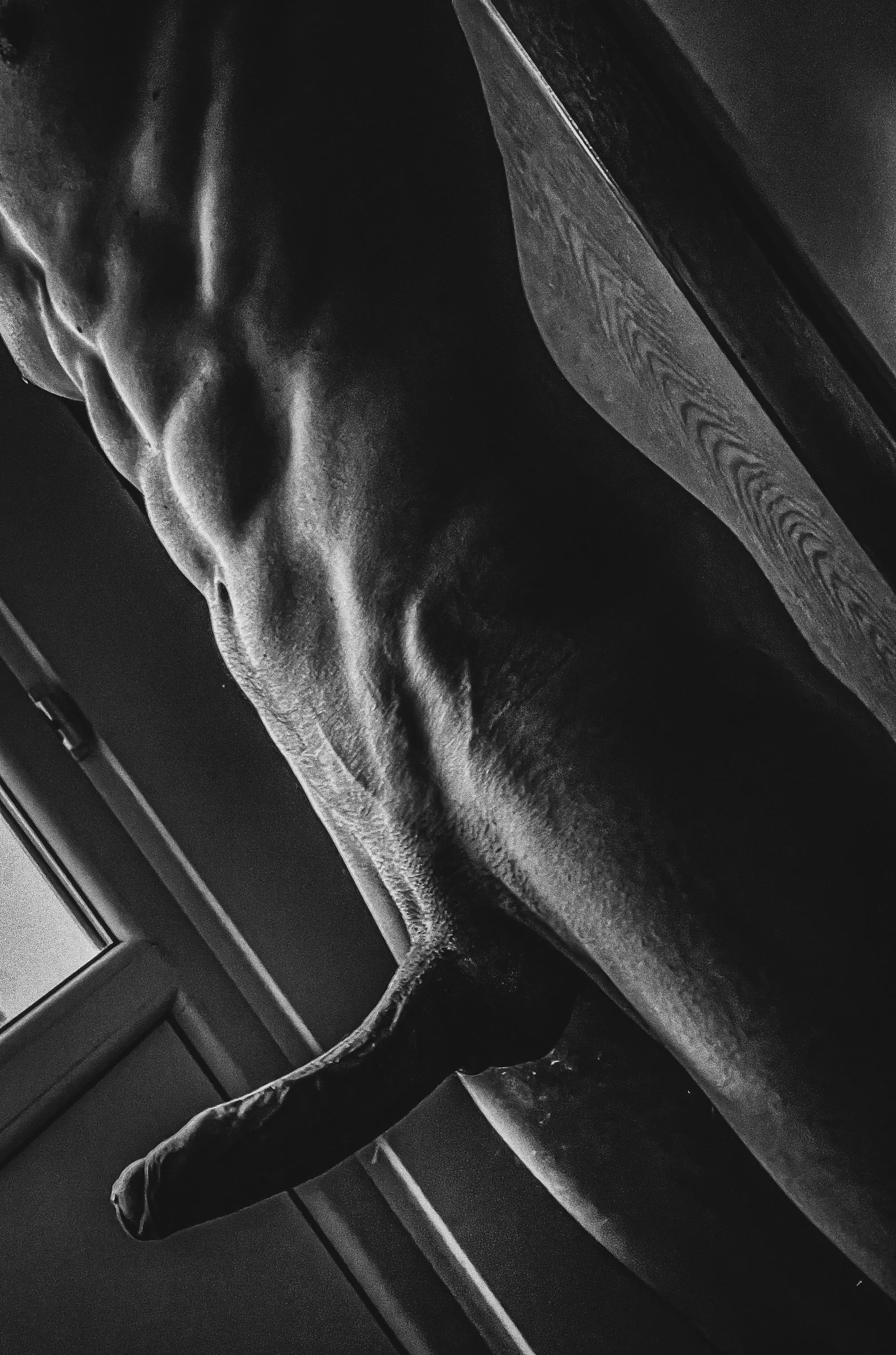 Heard you like it thick and vieny