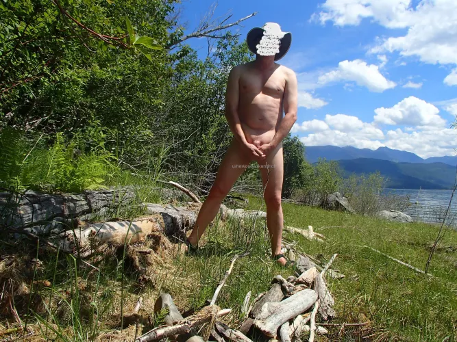 lost along the forest