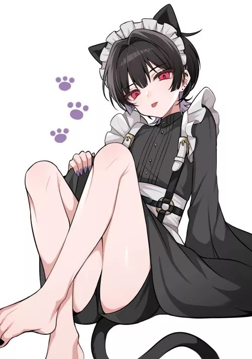 Maid cat boi