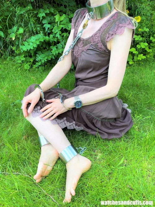 My collar is locked to a tree - no escape