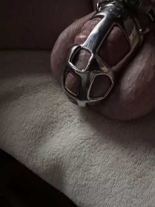 My new cage. Day 3 feels great