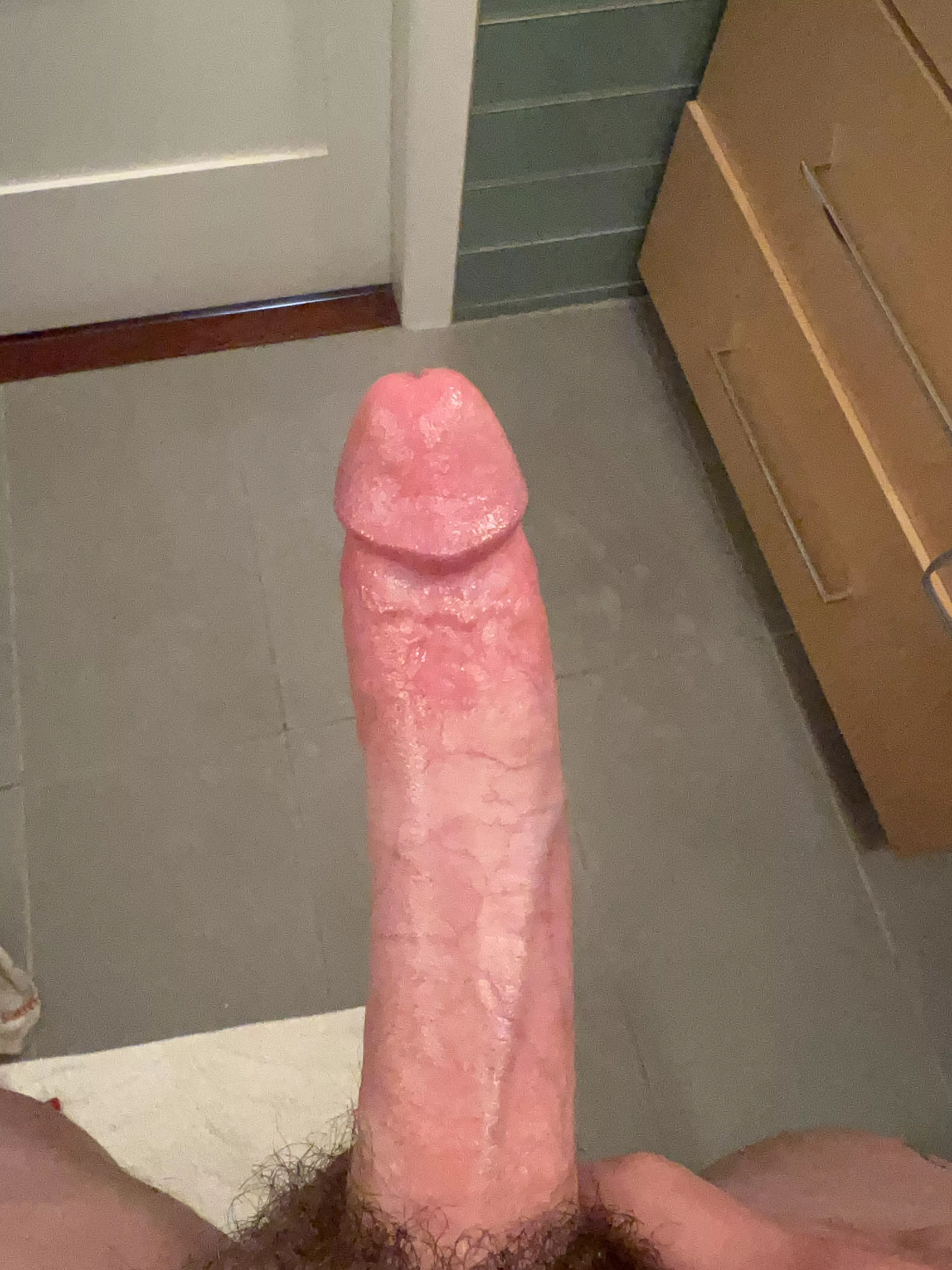 What would you do if I accidentally sent this to you?