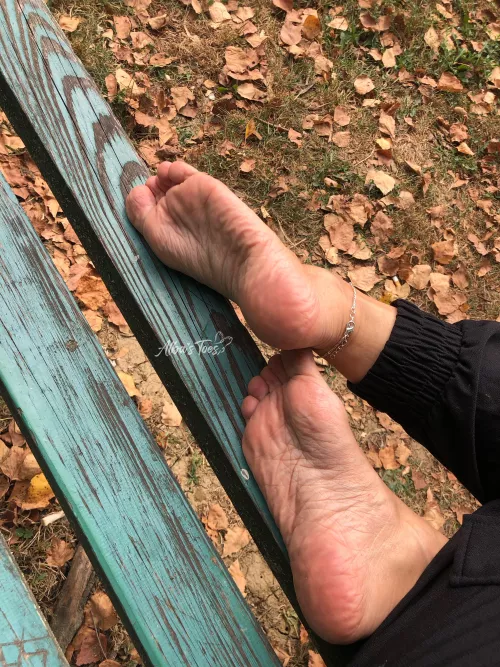 Where did the summer go?