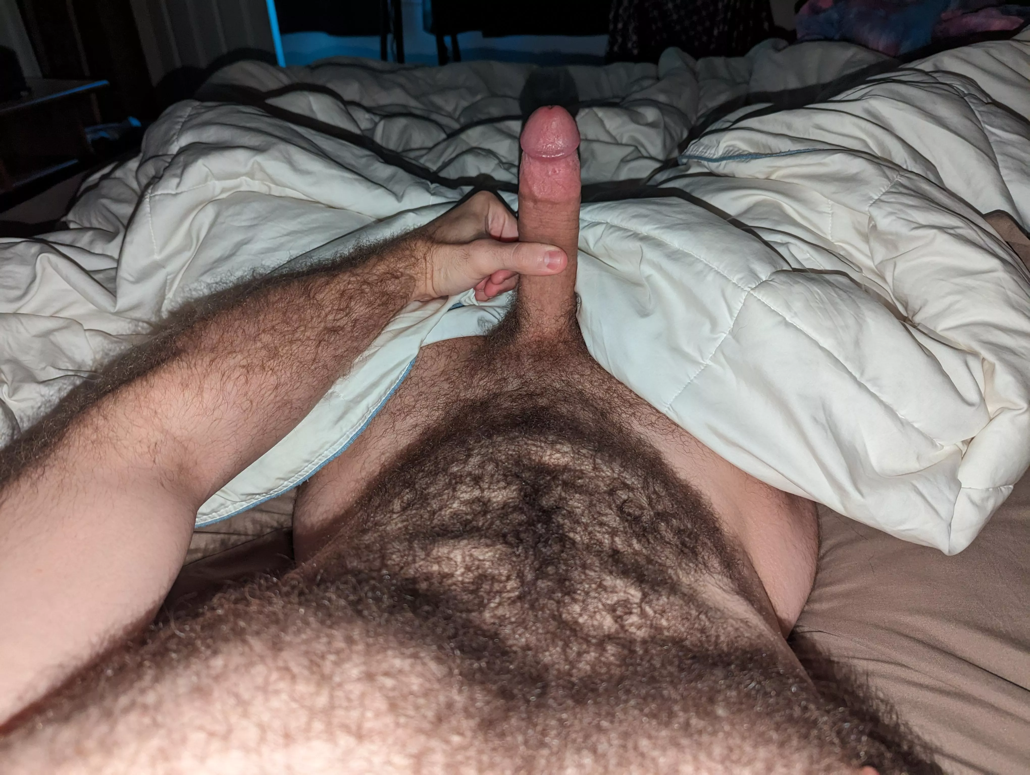 The view of an otter