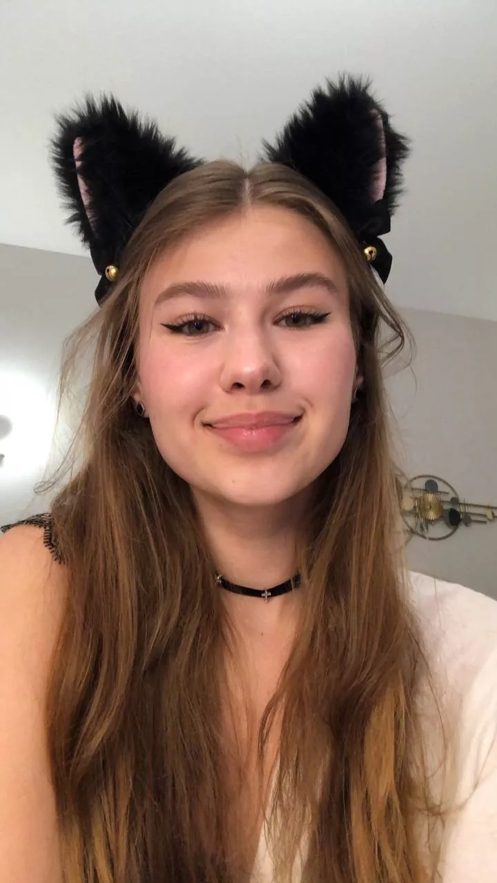 this cute cat can give you a lot of love and care if you play with her