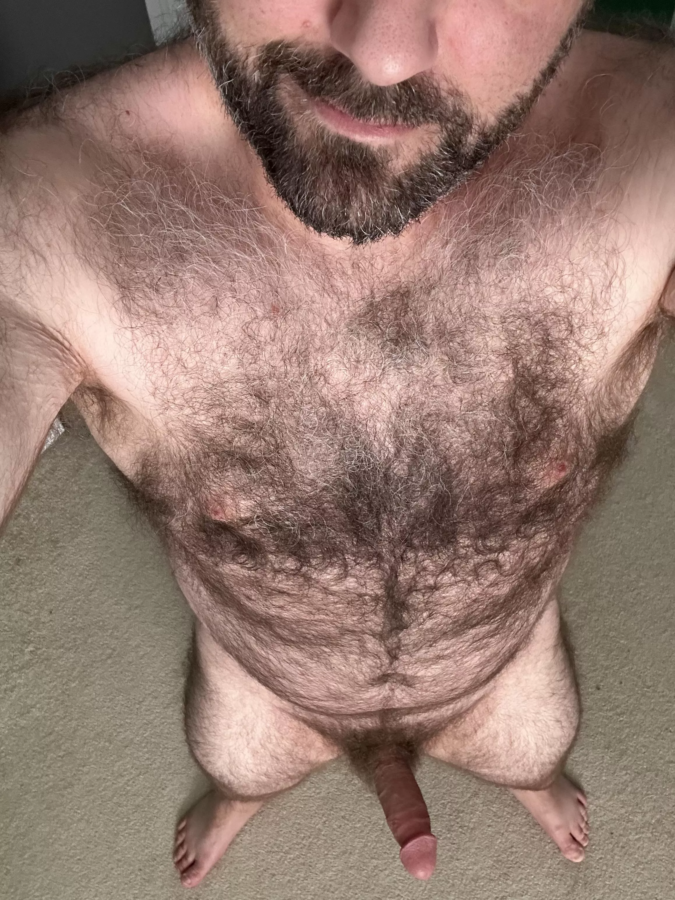 What do you think of a hairy dad bod? [41]