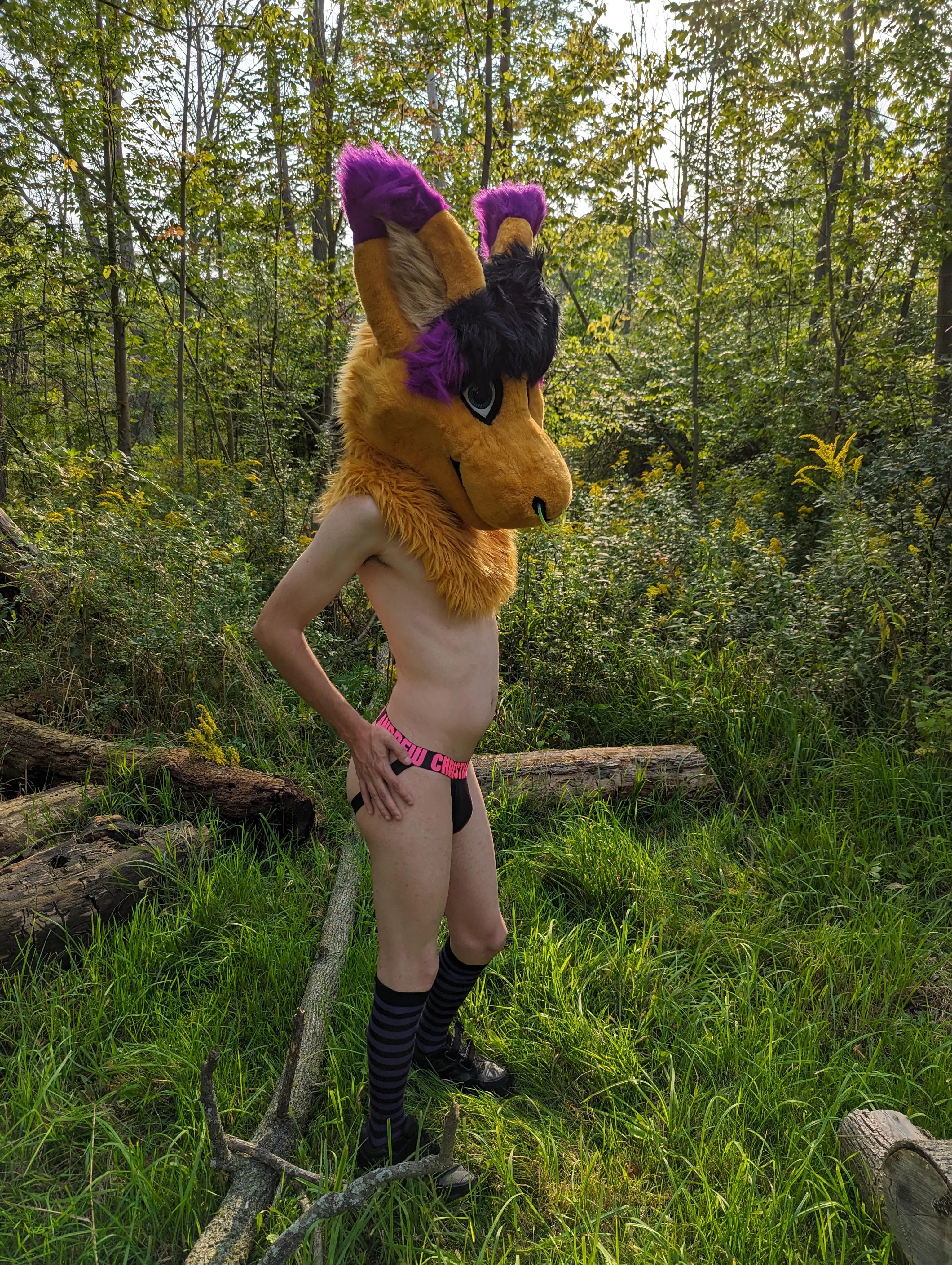 What would you do with a roo in the woods?~