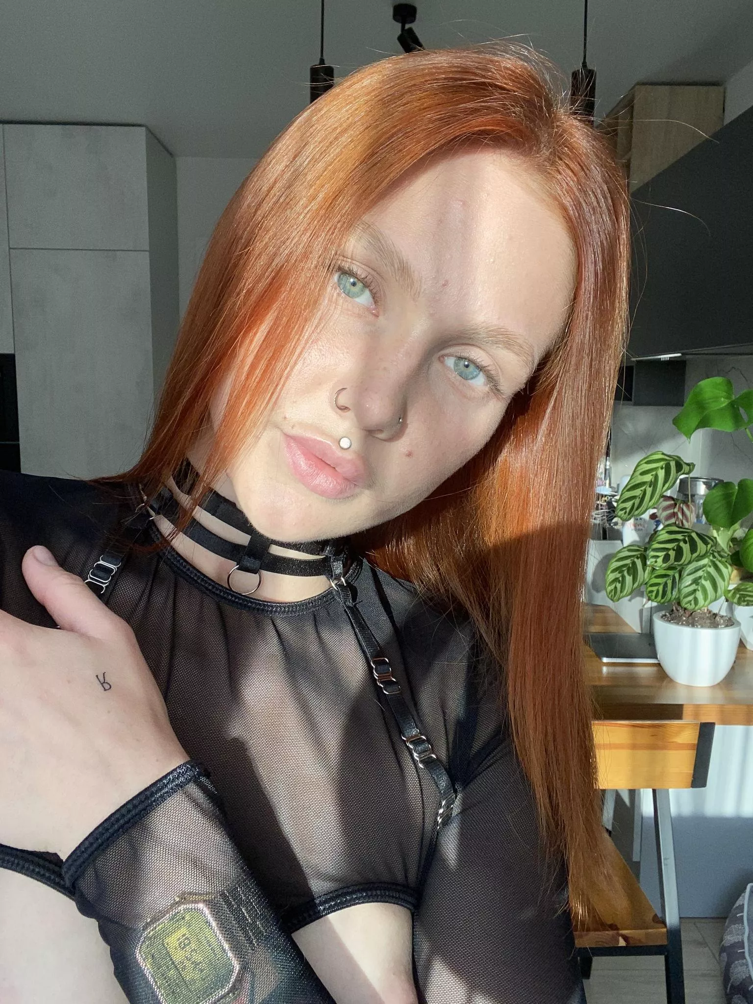 Where would you take me