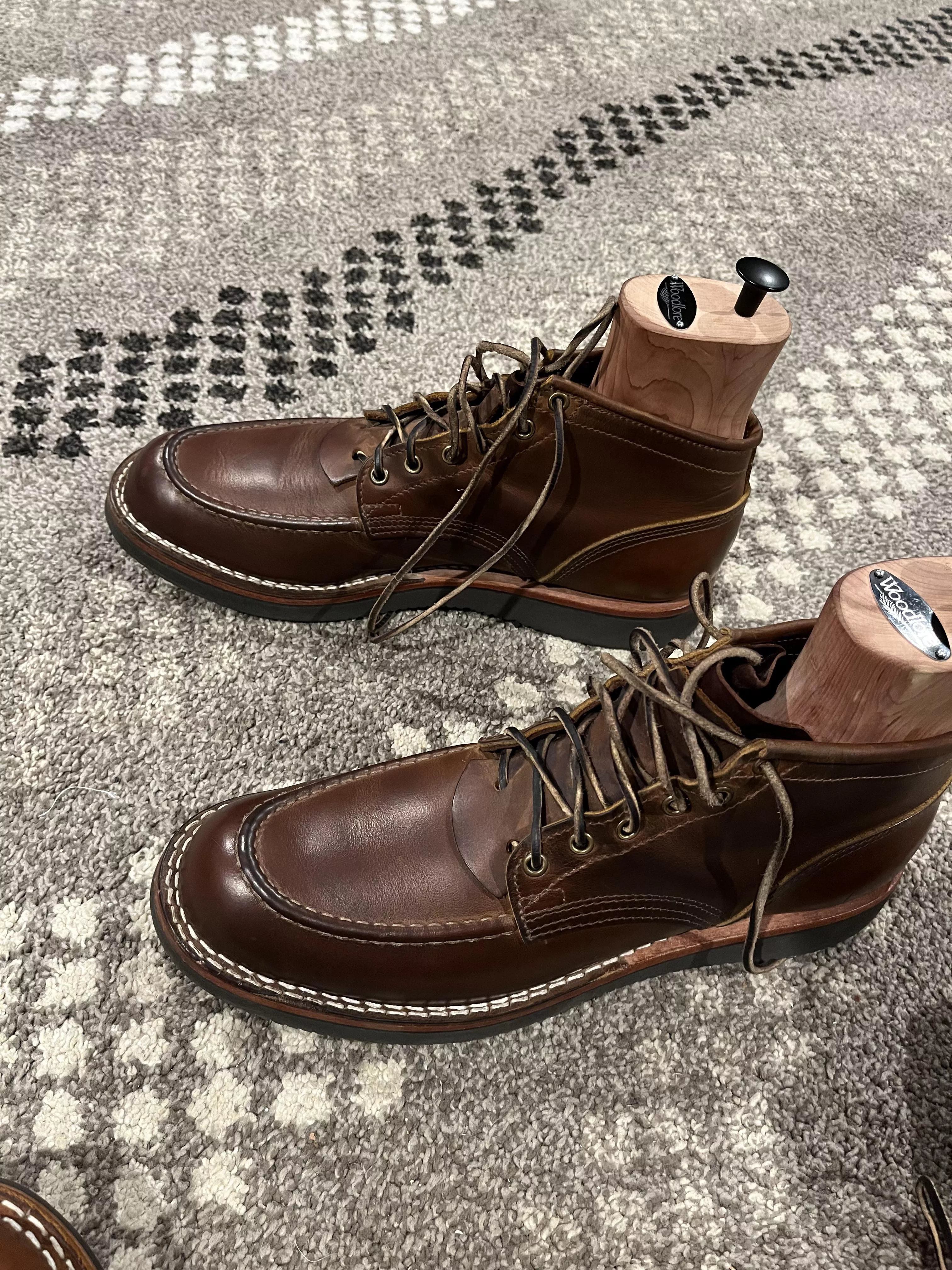 5 months with Predator Orange.