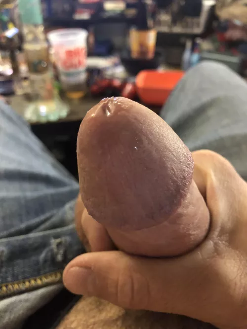 A little shine from last night.