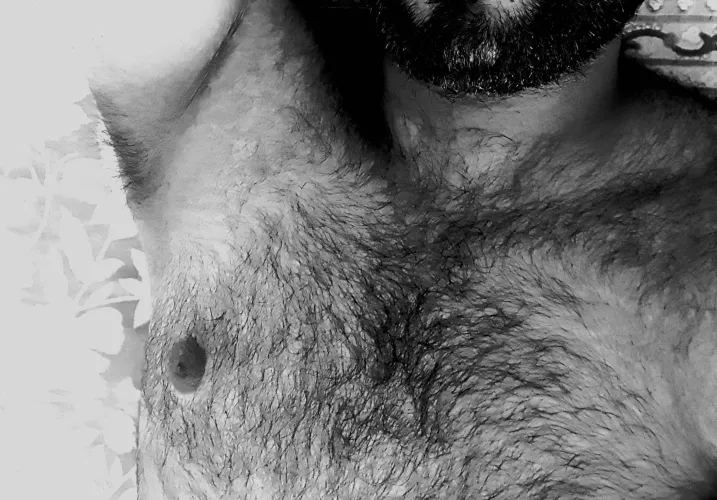 Come bury your face in my chest