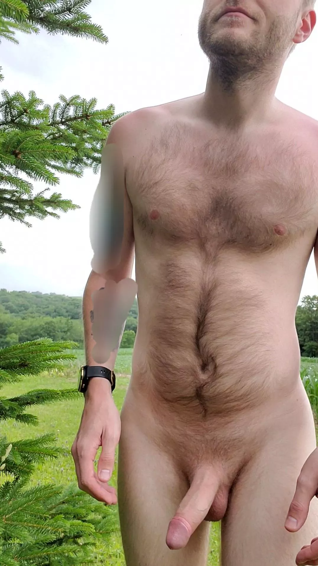 Following my compass home