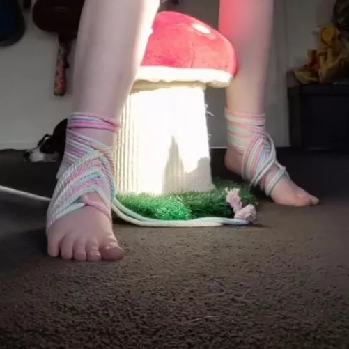 shrooms n feet on a friday