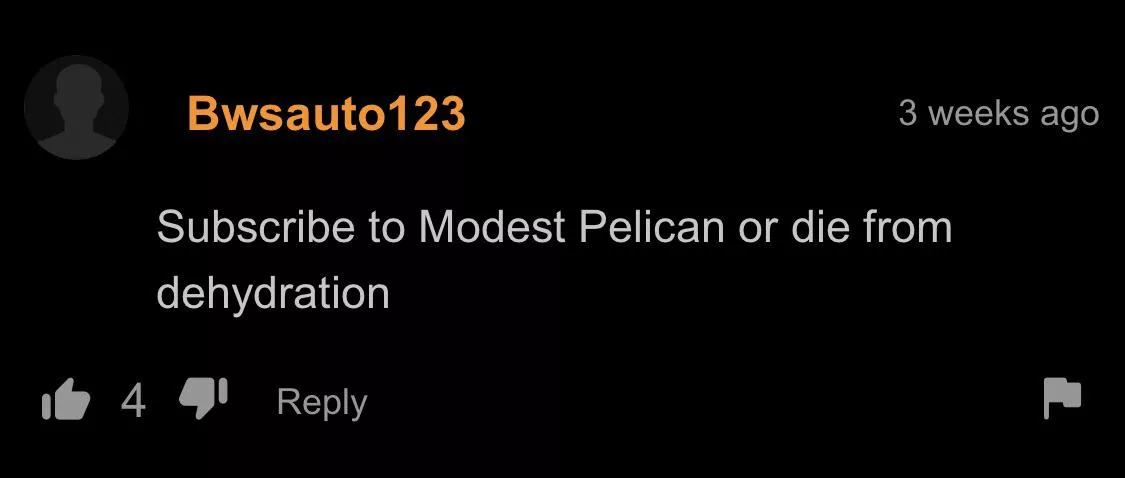 Sub to modest pelican