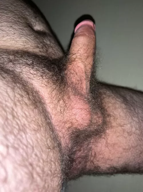 20, looking for bottoms or dudes to jack with. Hmu if you like hairy average dudes. Sc:b_jjbs