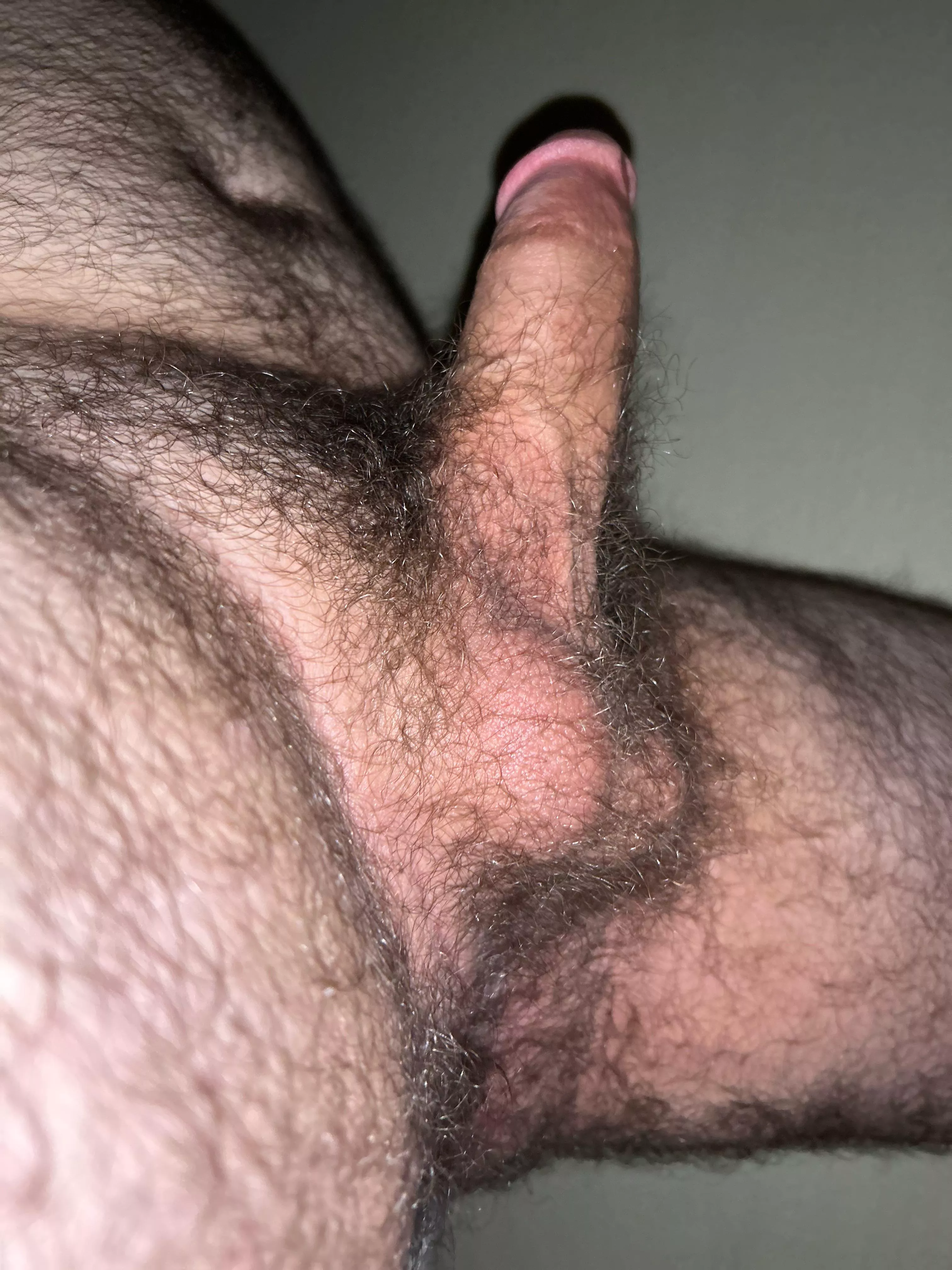 20, looking for bottoms or dudes to jack with. Hmu if you like hairy average dudes. Sc:b_jjbs