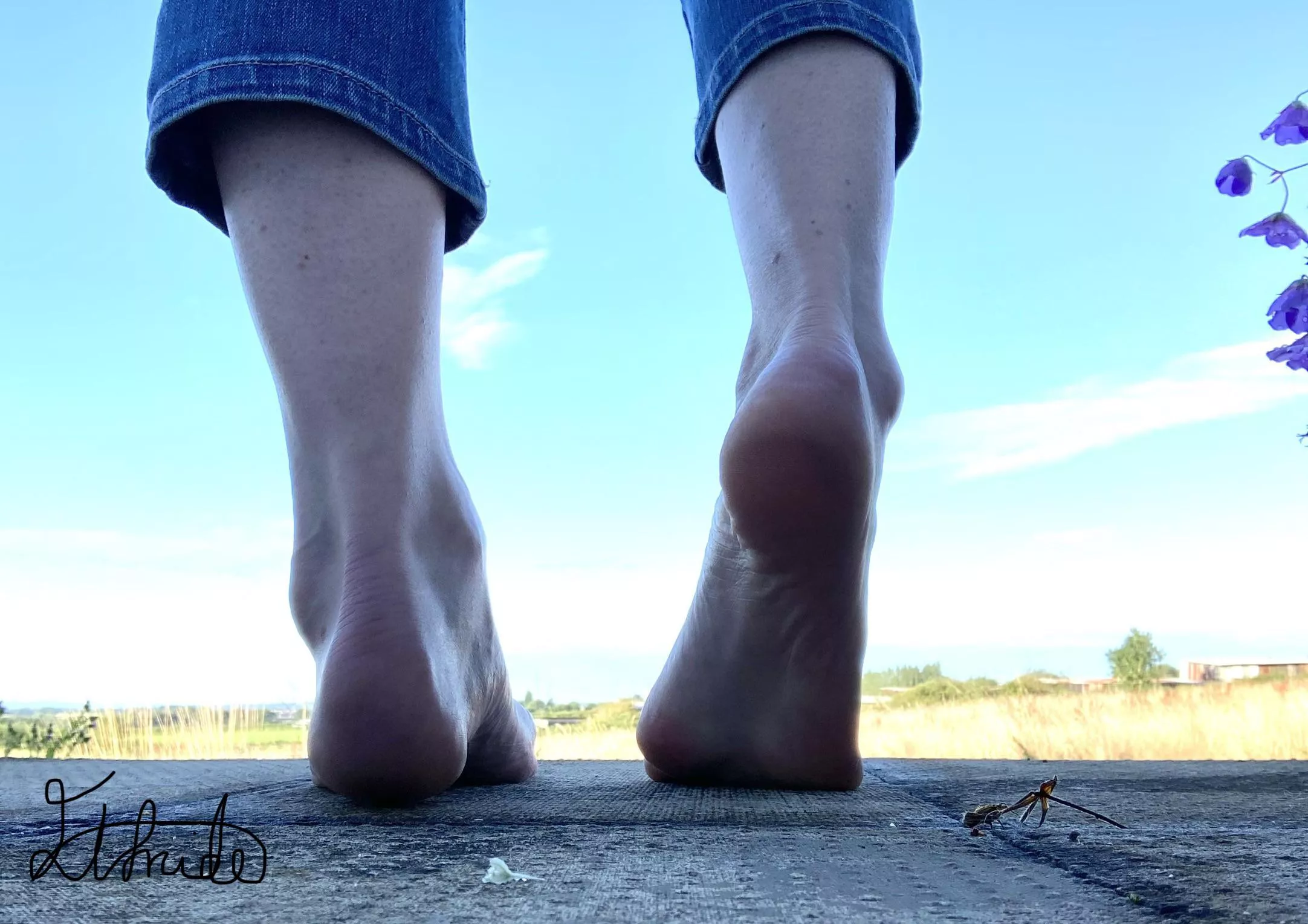 Achilles and ankles, do they catch your eye?