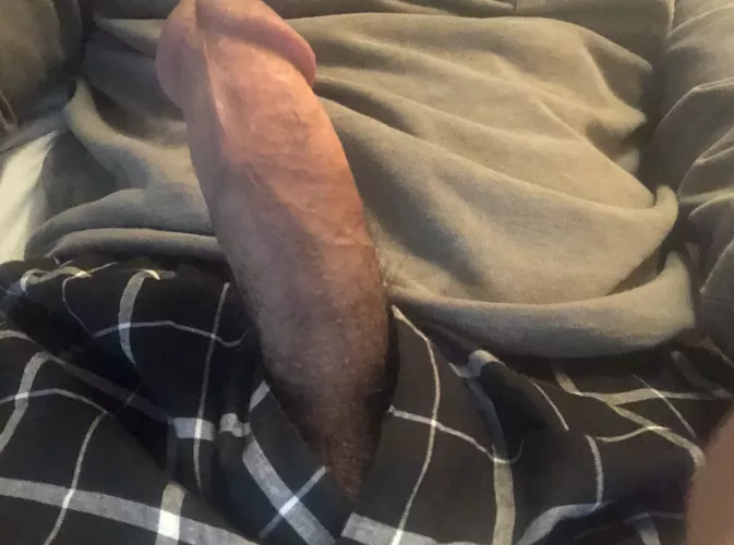 Any hotwives want to be bred?😈