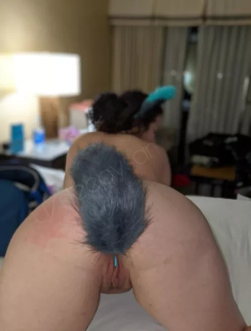 Feeling foxy tonight? [Oc] [f]