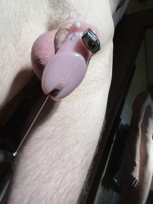 Posting this as punishment…