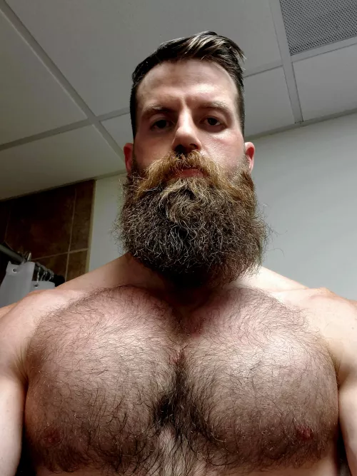 RBF [Resting Beard Face]