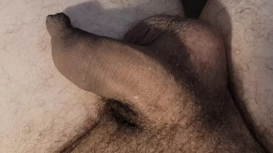 Softie with foreskin