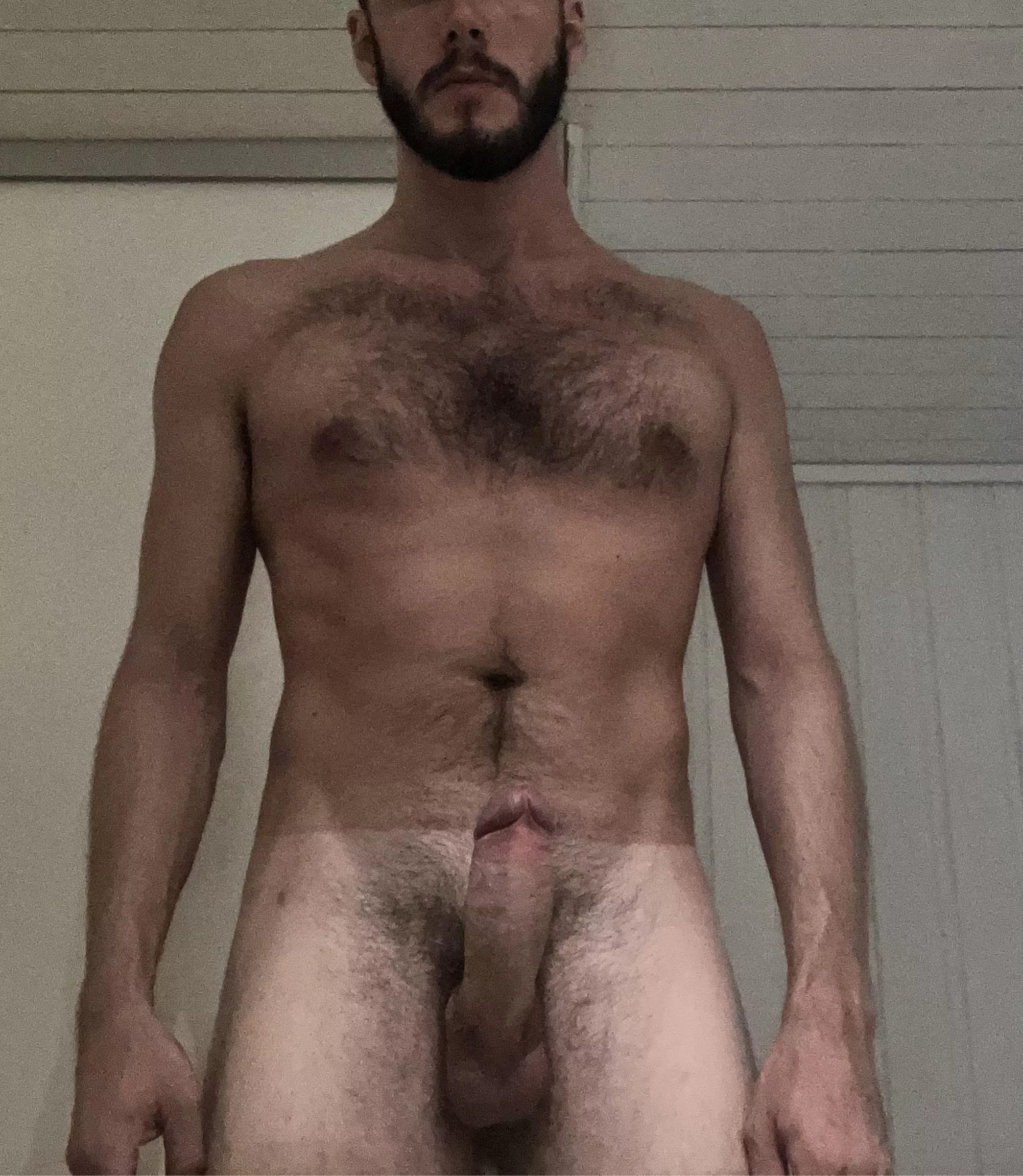 What do you like best? My beard or my boner?