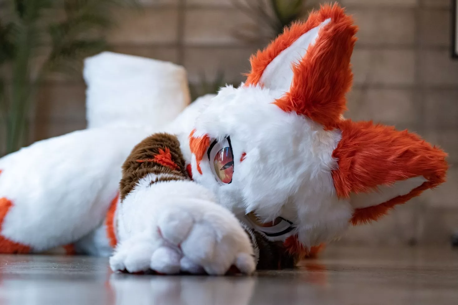 @yaco_fur on Twitter