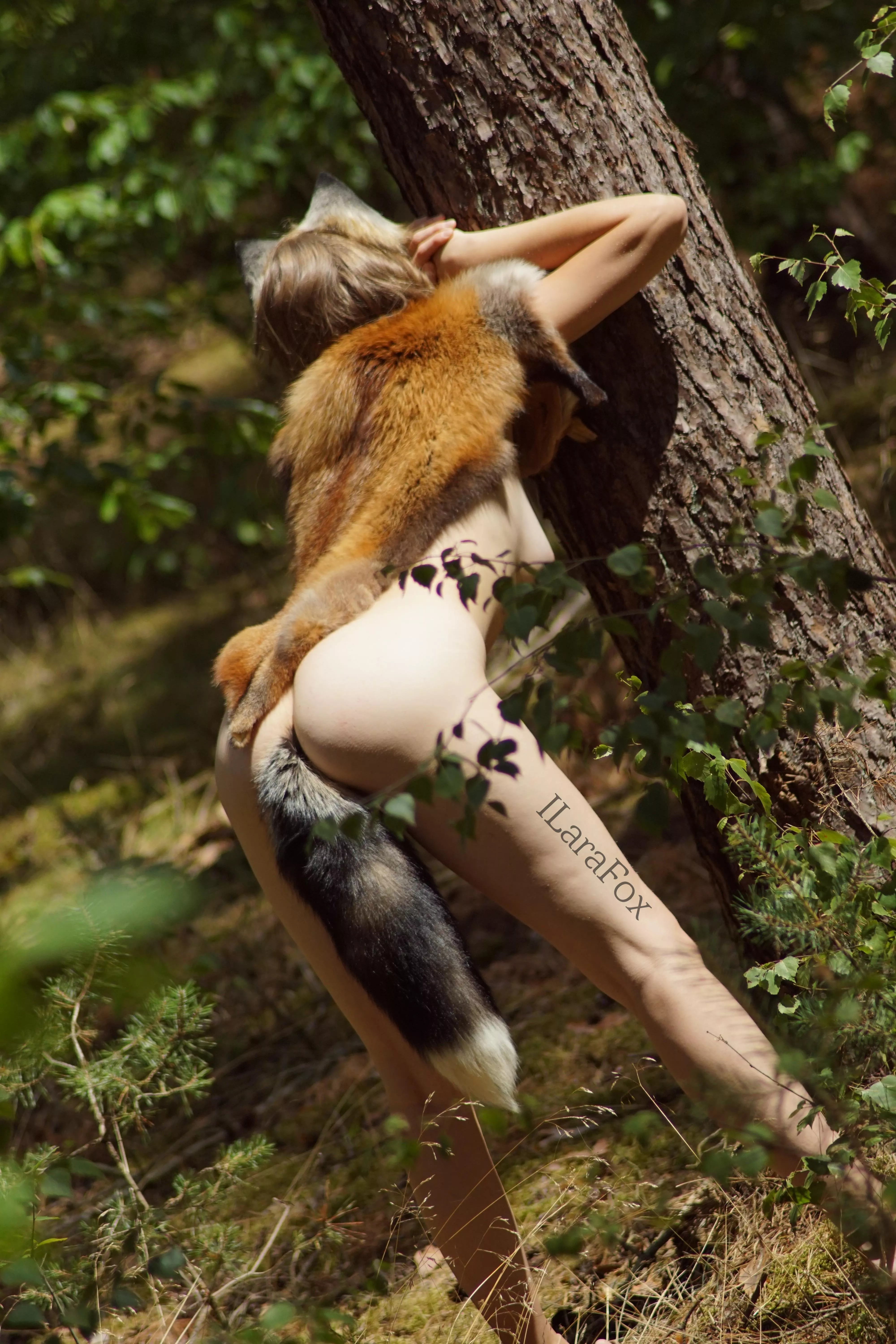 You need to bring your tail outside from time to time