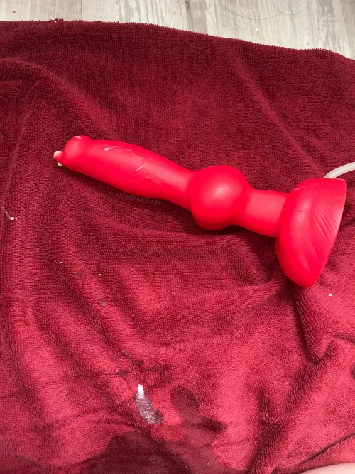 First time using medium Rex from Bad Dragon was a success