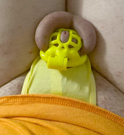 Getting ready for locktober 🎃💀🤫