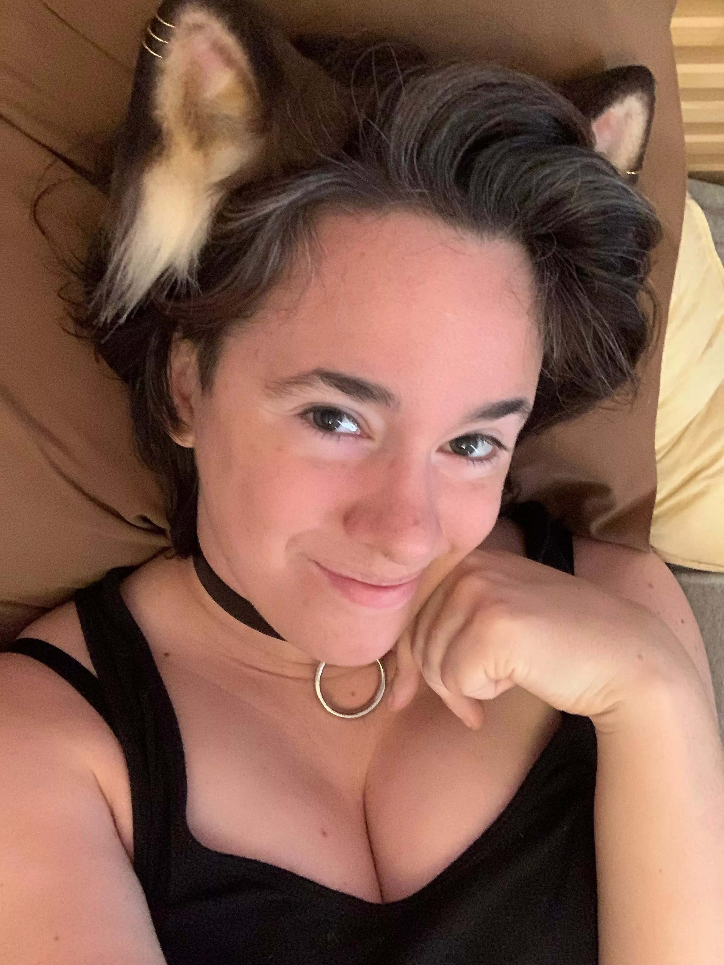 Guess which Calico kitty finally got her new ears? 😍