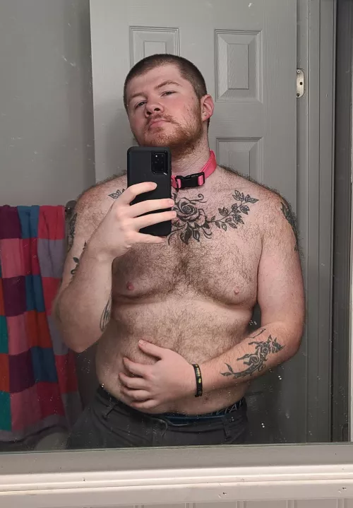 I really like this pic