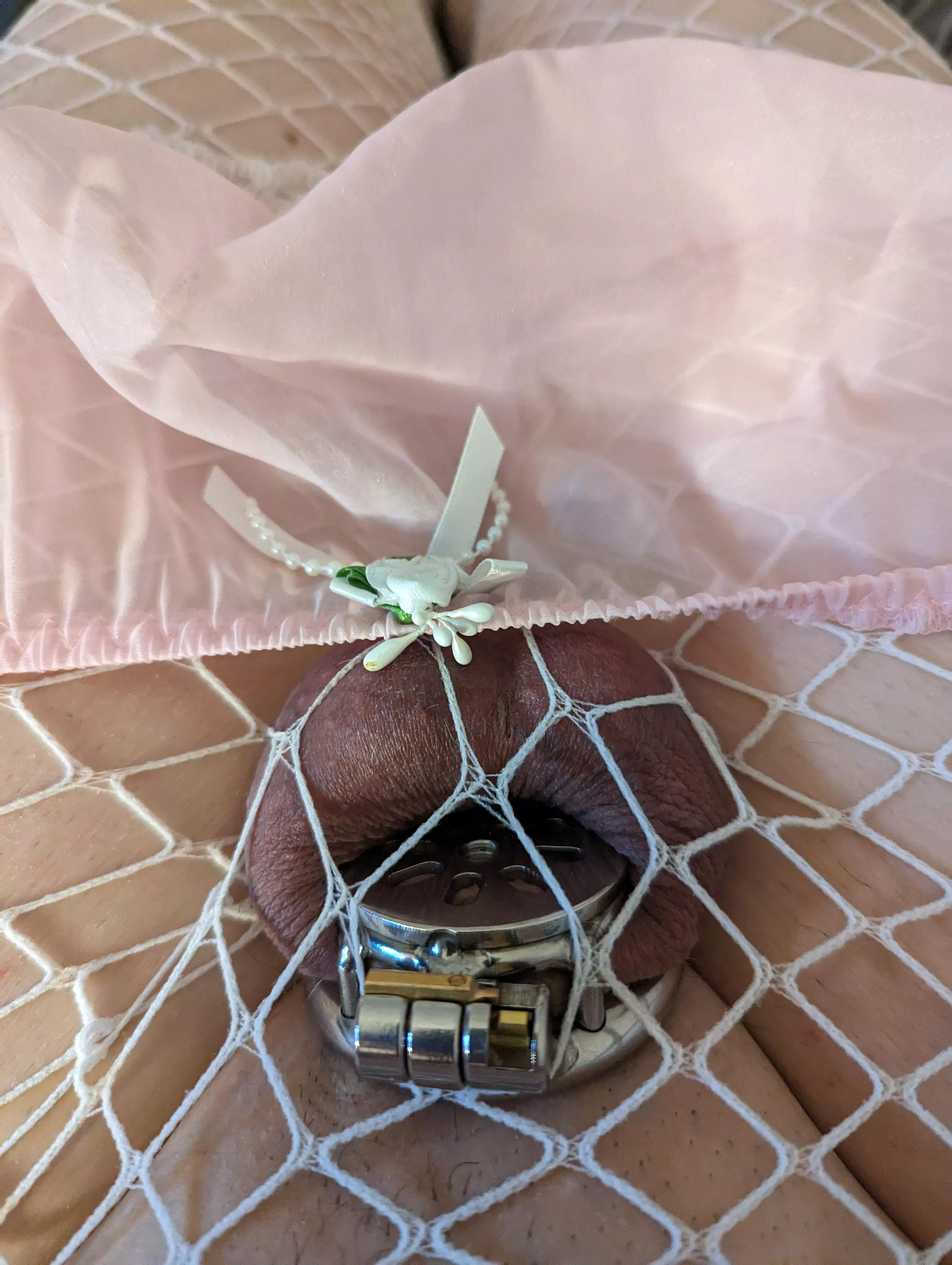 Love how well this cage fits 😍