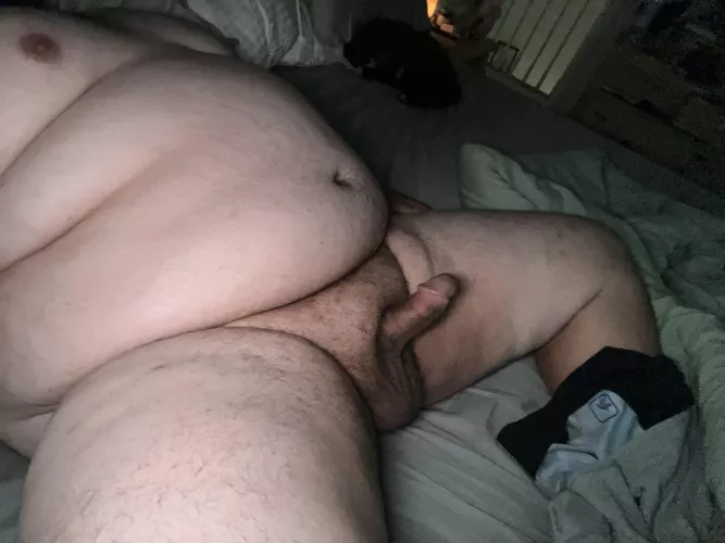 Room for one more in bed