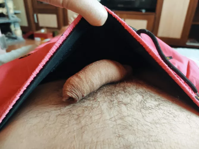 soft foreskin.