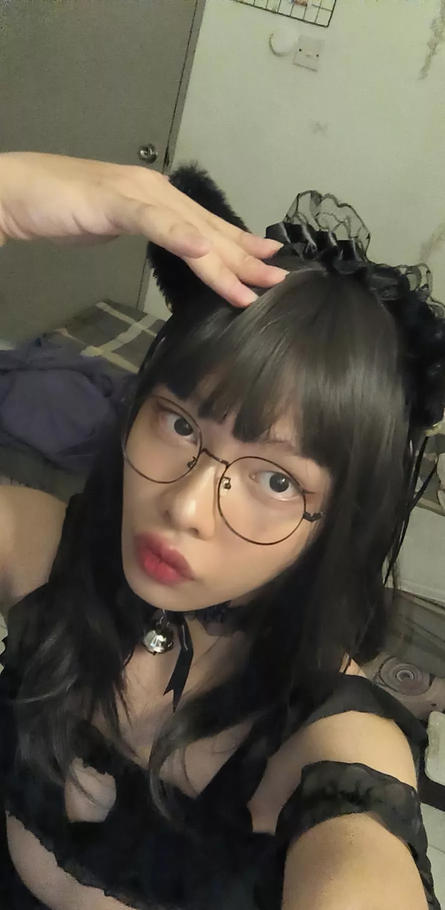 The catboy is at your service!