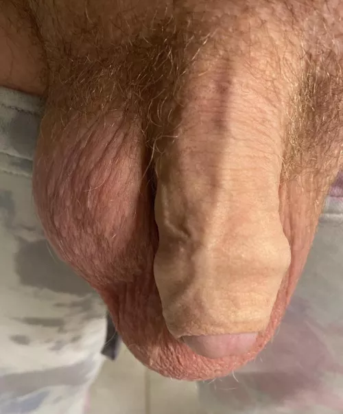 Veiny uncut softie for your Saturday!