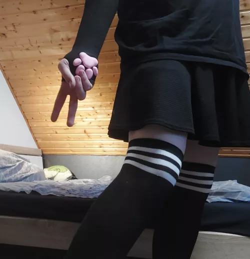 What's your favourite animal? :3