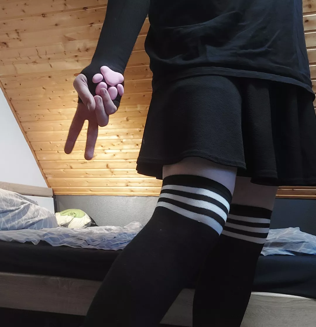 What's your favourite animal? :3