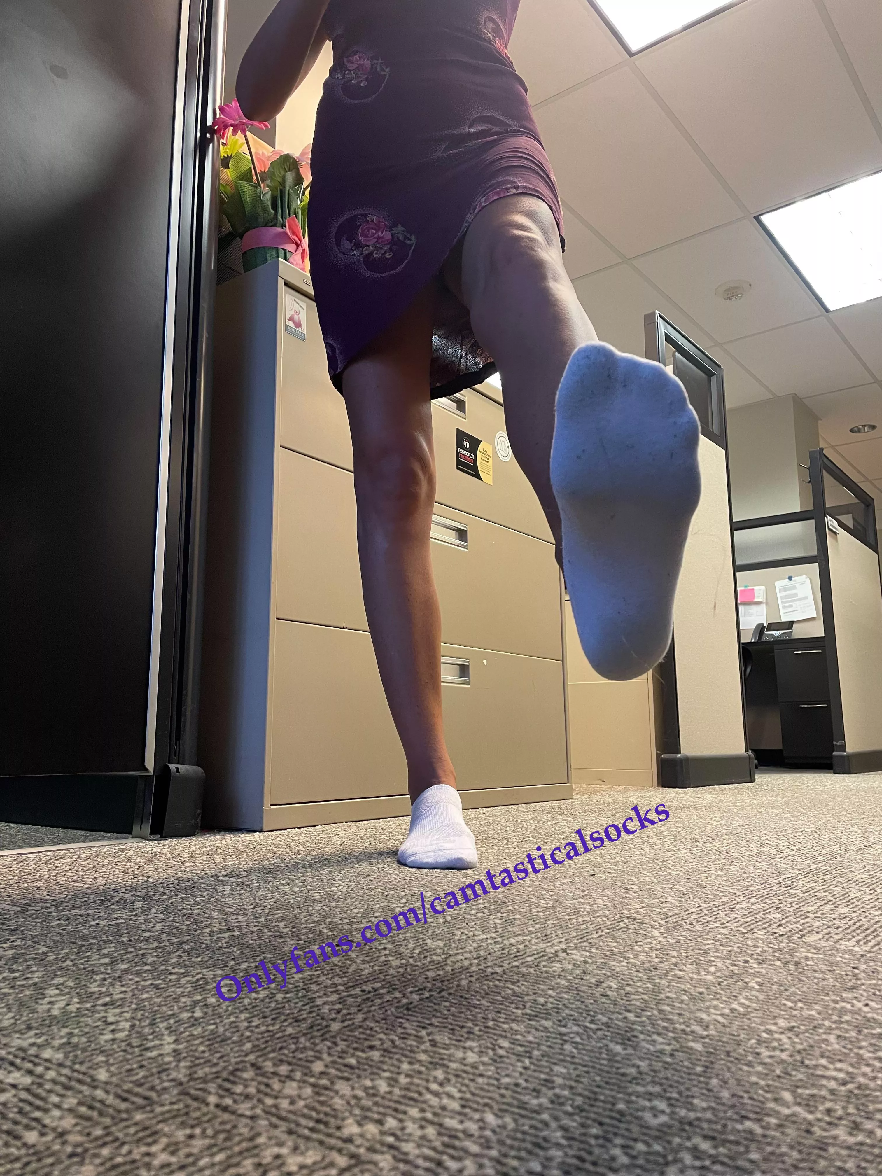 White Low Cut Sketchers Socks